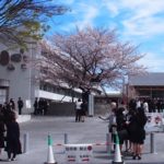 ご入学、おめでとうございます