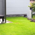 コガネムシの幼虫は害虫です