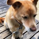 I don’t know …　😁