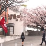 ご入学、おめでとうございます