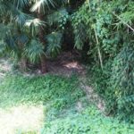 酷暑お見舞いもうしあげます