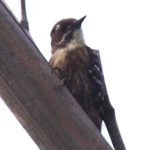 そこにご飯は…