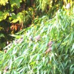 行列のできる…食堂